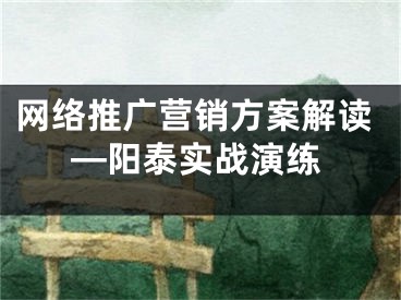 網(wǎng)絡(luò)推廣營銷方案解讀—陽泰實戰(zhàn)演練