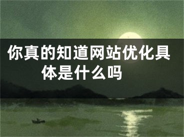 你真的知道網(wǎng)站優(yōu)化具體是什么嗎 