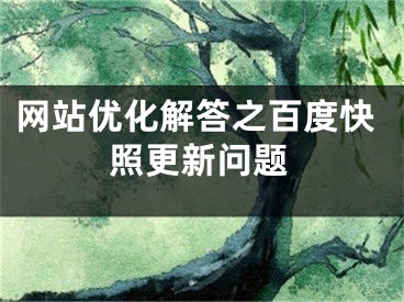 網(wǎng)站優(yōu)化解答之百度快照更新問題