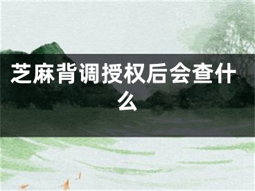 芝麻背調(diào)授權(quán)后會查什么