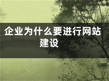 企業(yè)為什么要進行網(wǎng)站建設(shè) 