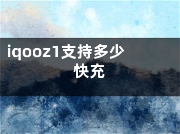 iqooz1支持多少快充