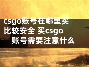 csgo賬號在哪里買比較安全 買csgo賬號需要注意什么