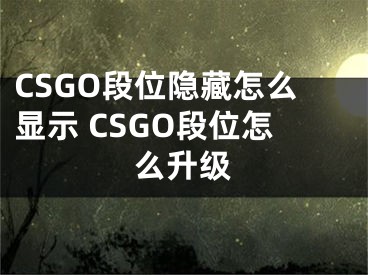 CSGO段位隱藏怎么顯示 CSGO段位怎么升級