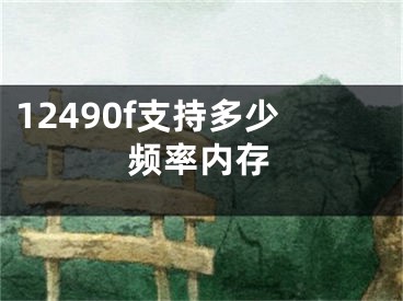 12490f支持多少頻率內(nèi)存