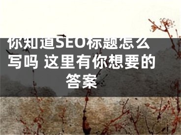 你知道SEO標(biāo)題怎么寫嗎 這里有你想要的答案 