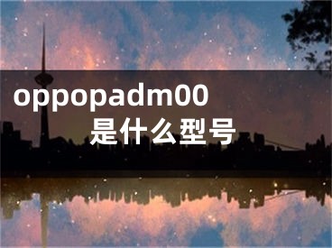 oppopadm00是什么型號