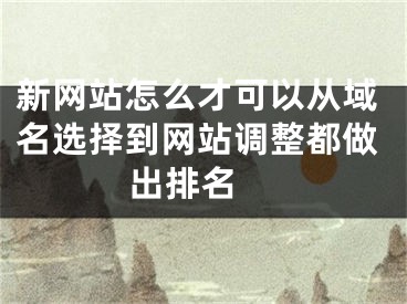 新網(wǎng)站怎么才可以從域名選擇到網(wǎng)站調(diào)整都做出排名 