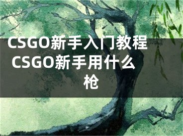 CSGO新手入門教程 CSGO新手用什么槍