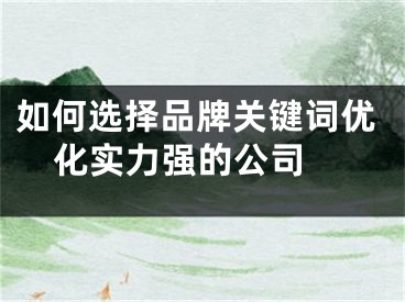 如何選擇品牌關(guān)鍵詞優(yōu)化實力強的公司 