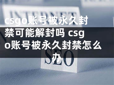 csgo賬號被永久封禁可能解封嗎 csgo賬號被永久封禁怎么辦