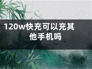 120w快充可以充其他手機(jī)嗎