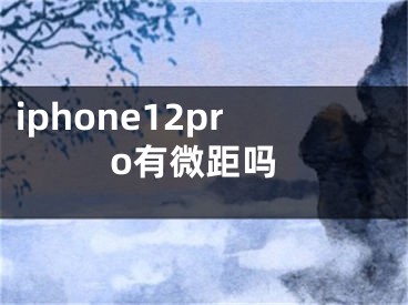 iphone12pro有微距嗎