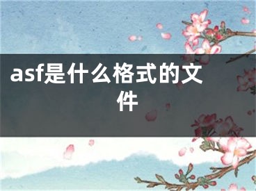 asf是什么格式的文件