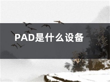 PAD是什么設(shè)備