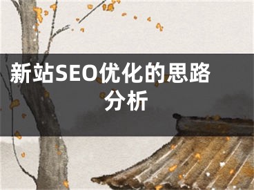 新站SEO優(yōu)化的思路分析