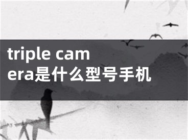 triple camera是什么型號(hào)手機(jī)