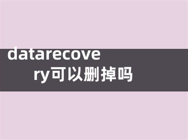 datarecovery可以刪掉嗎