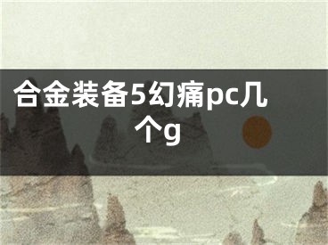 合金裝備5幻痛pc幾個(gè)g