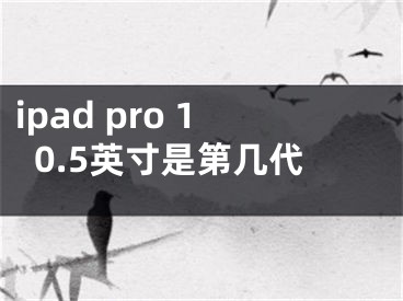 ipad pro 10.5英寸是第幾代