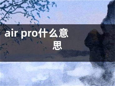 air pro什么意思