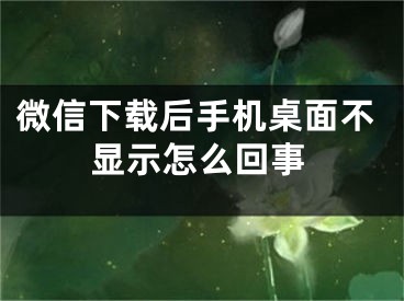 微信下載后手機(jī)桌面不顯示怎么回事