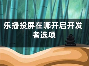 樂(lè)播投屏在哪開啟開發(fā)者選項(xiàng)