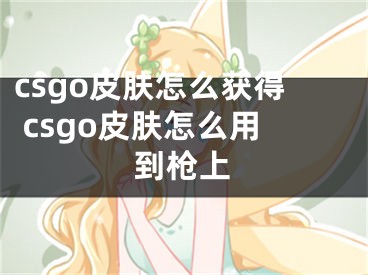 csgo皮膚怎么獲得 csgo皮膚怎么用到槍上