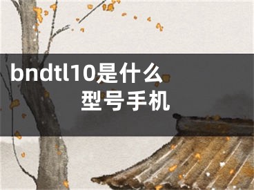 bndtl10是什么型號(hào)手機(jī)