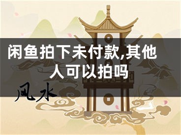 閑魚拍下未付款,其他人可以拍嗎