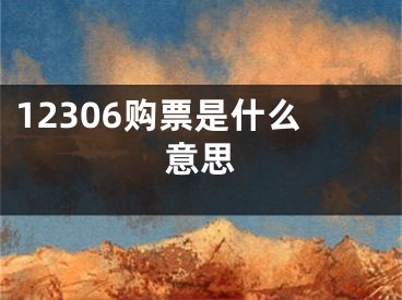 12306購票是什么意思