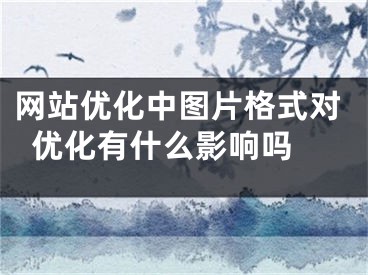 網(wǎng)站優(yōu)化中圖片格式對優(yōu)化有什么影響嗎 