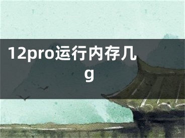 12pro運(yùn)行內(nèi)存幾g