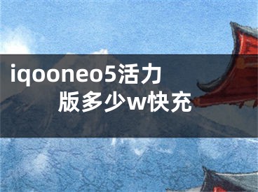 iqooneo5活力版多少w快充