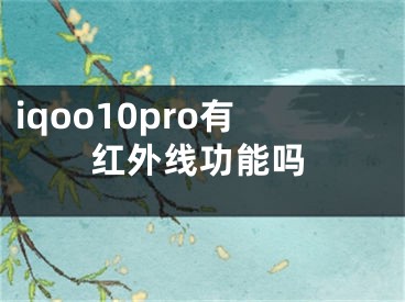 iqoo10pro有紅外線功能嗎