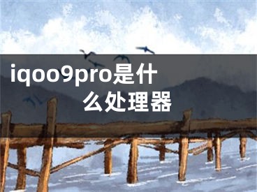 iqoo9pro是什么處理器