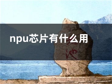 npu芯片有什么用