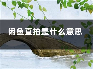 閑魚直拍是什么意思