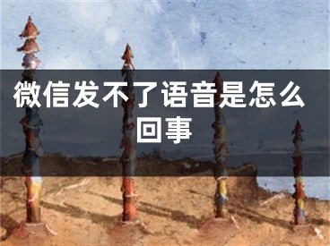 微信發(fā)不了語音是怎么回事