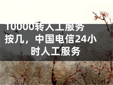 10000轉(zhuǎn)人工服務(wù)按幾，中國(guó)電信24小時(shí)人工服務(wù)