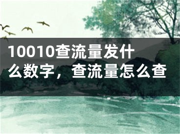 10010查流量發(fā)什么數(shù)字，查流量怎么查