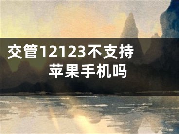 交管12123不支持蘋果手機(jī)嗎