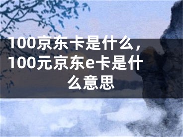 100京東卡是什么，100元京東e卡是什么意思