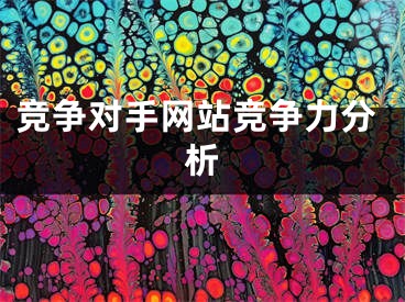 競(jìng)爭(zhēng)對(duì)手網(wǎng)站競(jìng)爭(zhēng)力分析