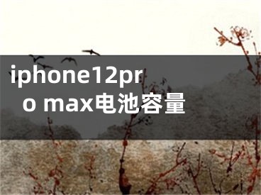 iphone12pro max電池容量