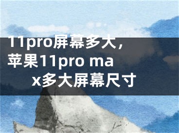 11pro屏幕多大，蘋果11pro max多大屏幕尺寸