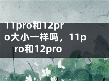 11pro和12pro大小一樣嗎，11pro和12pro