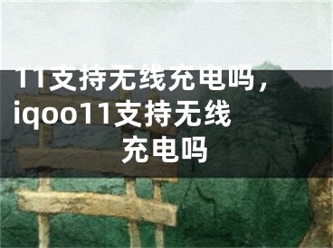 11支持無線充電嗎，iqoo11支持無線充電嗎