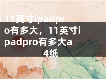 11英寸ipadpro有多大，11英寸ipadpro有多大a4紙