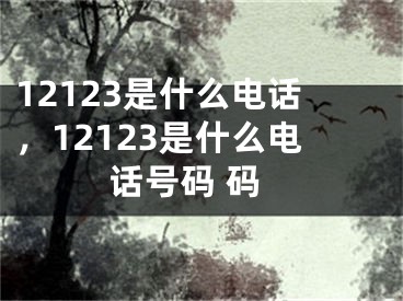 12123是什么電話，12123是什么電話號(hào)碼 碼